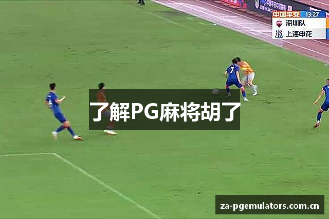 了解PG麻将胡了